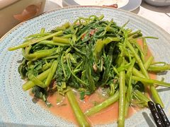 -鑫嘉汇购物中心