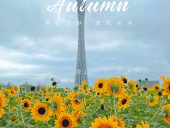 -海心沙亚运公园