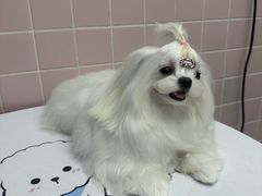 -FAELING PETS美天灵宠物(富力广场店)