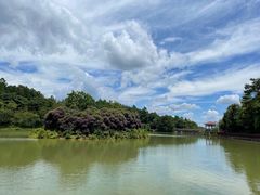 -广州白江湖森林公园