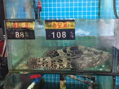 -覃记海鲜美食餐厅