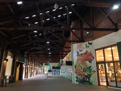 -伊瓜苏国家公园