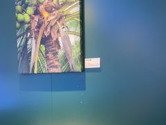 -烹然四季椰子鸡火锅(姚家园万象汇店)