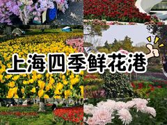 -上海鲜花港