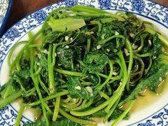 清炒红薯叶-下村新强记烧鹅店