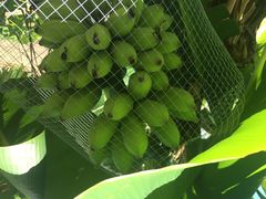iphone_upload_pic-南丫岛