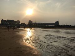 -日照海滨国家森林公园