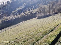 -敬亭山风景名胜区