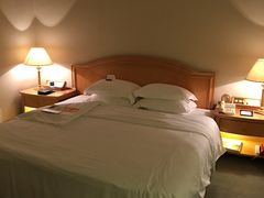 -南京维景国际大酒店(南京博物院店)