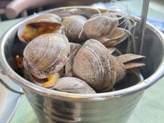 一桶黄蚬-渔娘渔家丹东海鲜(东直门店)