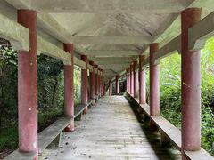 -天鹿湖森林公园