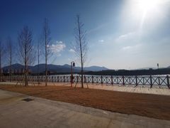 -三垟湿地