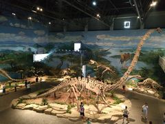 -自贡恐龙博物馆