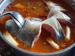 -大理老字号·舟渔的鱼野生菌海景餐厅(双廊店)