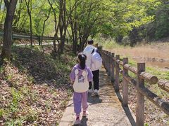 -三块石国家森林公园