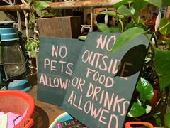-The Daily Fix Cafe