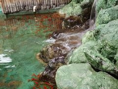 -上海大自然野生昆虫馆