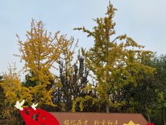 -中国人民抗日战争纪念雕塑园
