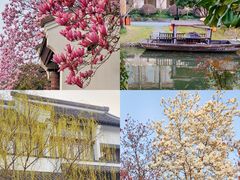 -西溪国家湿地公园