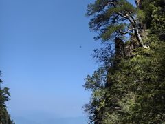 -塔云山