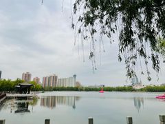 -莲花池公园