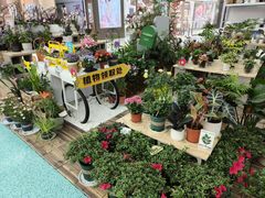 -SM城市广场(扬州店)