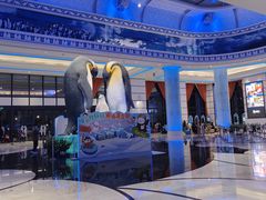 -帝企鹅自助餐厅•儿童岛•真企鹅(长隆企鹅酒店)