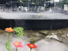 -蘇河湾·新鲁菜·泰山宴(泰山店)