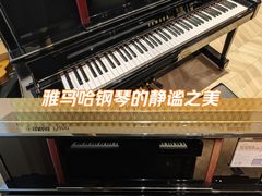 -雅歌音乐培训中心·钢琴培训·乐器培训(交道口店)