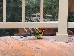 -南宫五洲植物乐园