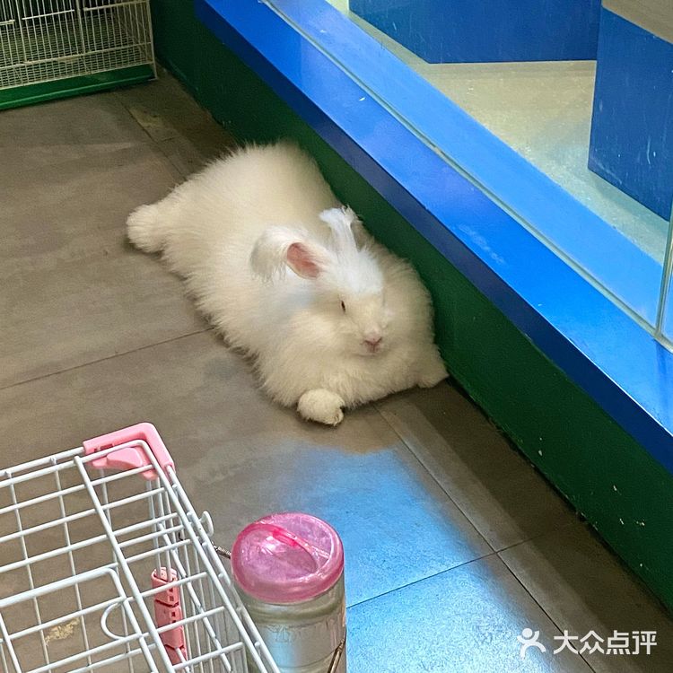 嘉兴探店｜合乐城“遇见萌宠”