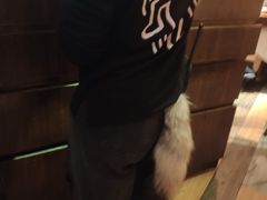 -大灰狼(中心书城店)