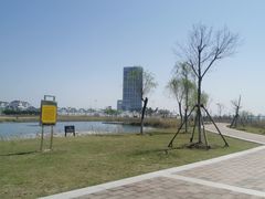 -鹦鹉洲湿地公园