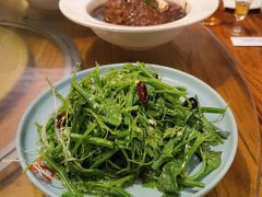 丝瓜苗-苹果树下艺术餐厅(通州店)