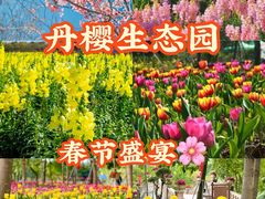 -丹樱生态园
