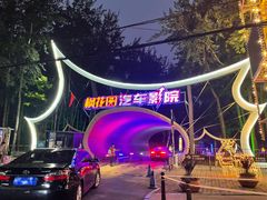 -枫花园汽车电影院(朝阳公园店)