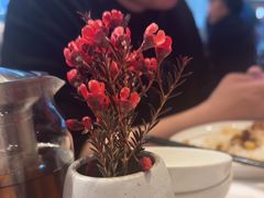 -眉州东坡(华联万柳店)