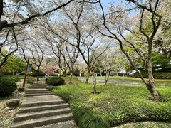 -中国茶叶博物馆(双峰馆区)