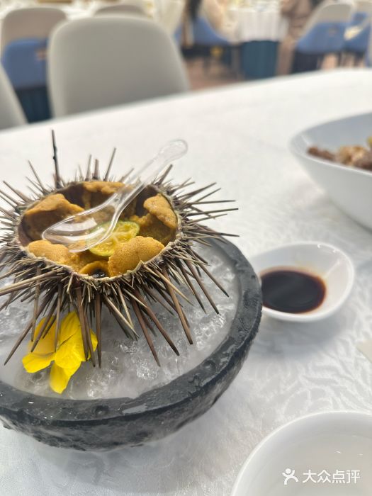 品海楼·大连海胆锅贴馆(东港店)生吃活海胆图片