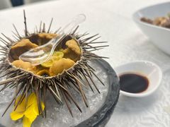 生吃活海胆-品海楼·大连海胆锅贴馆(东港店)