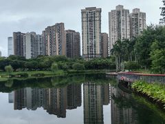 -四海公园(南山区)