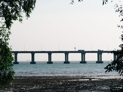 -宝安西湾红树林湿地公园