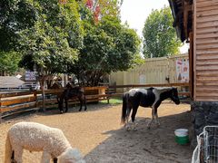 -HERRE·FARM 赫尔露营农场·团建聚会包场