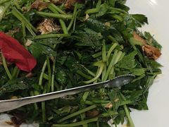 -海派美食·家宴海鲜青岛菜·石锅鲽鱼头(东方城店)