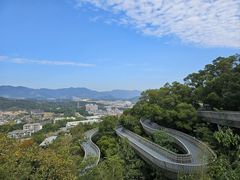 -福道