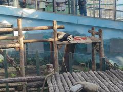 -大连森林动物园