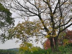 -上海月湖雕塑公园