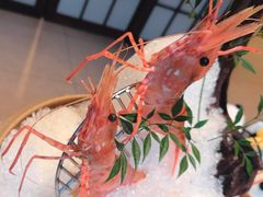 -上井料理黑金店(IFS国金中心店)