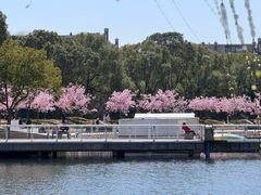 -新江湾城公园