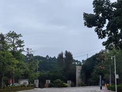 -东莞市大岭山森林公园